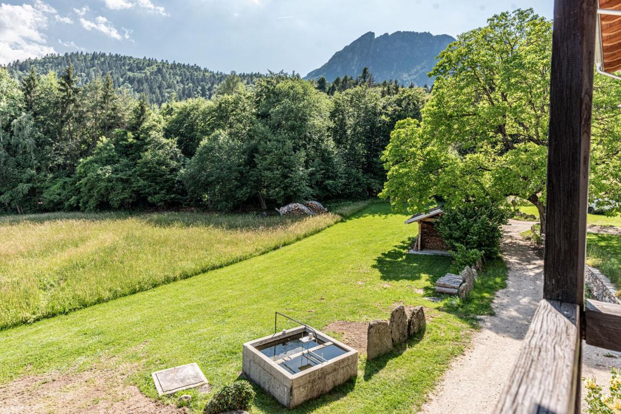 Camera De Le Rondole, Maso Postel - 500 Mt Strada Sterrata Pergine Valsugana Exterior foto