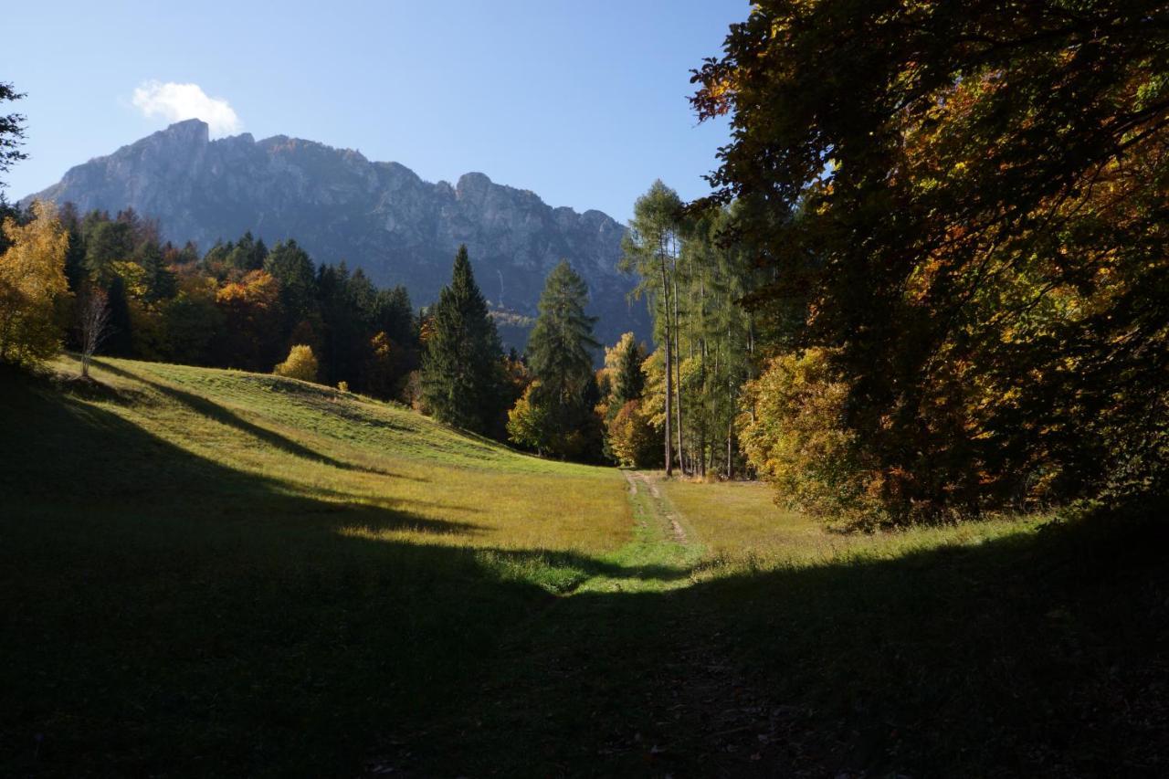 Camera De Le Rondole, Maso Postel - 500 Mt Strada Sterrata Pergine Valsugana Exterior foto
